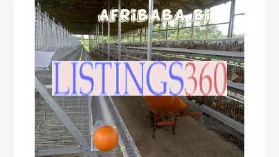 Layer chicken cages / poultry cages - bujumbura
